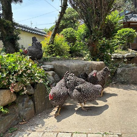 Osaka Nose Farmer'S Guest House　Yasuda Farm المظهر الخارجي الصورة